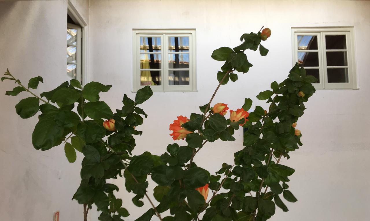 Residencial Avenida Hostel Томар Екстериор снимка